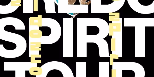 Kings Kaleidoscope at Elevation - Grand Rapids, MI