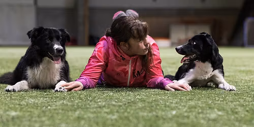 Agilityn M\u00f6llikisat - hyv\u00e4 tilaisuus tulla treenaa ennen HSSKn kisoja.