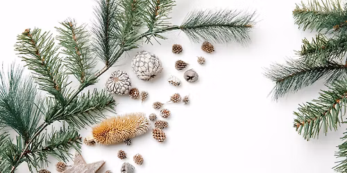 Northfield Garden Club: Holiday Party