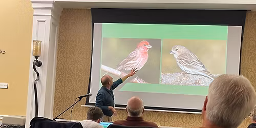 CVAS Monthly Meeting