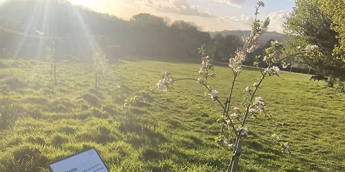 Orchard Pruning with Jonathan