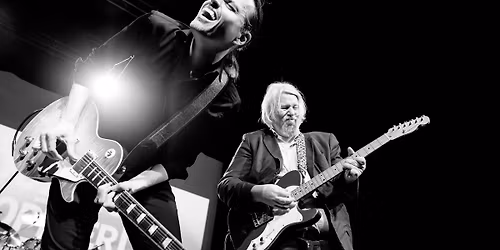 Cooking with Knopfler