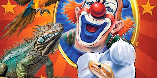 \u041a\u041e\u041b\u0415\u0414\u0415\u041d \u0426\u0418\u0420\u041a \u041d\u0410 \u0421\u0426\u0415\u041d\u0410 \u041c\u0418\u0420\u0410\u041a\u042a\u041b 