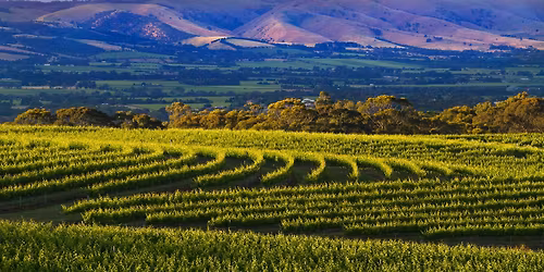 Mclaren Vale Irrigation 25th anniversary