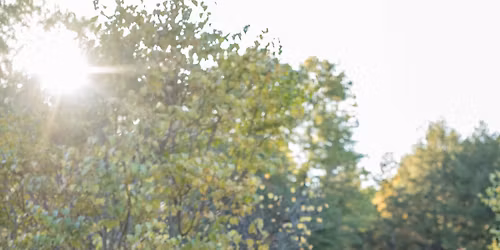 Pre-Wedding Bash (Jack & Jill) honoring Carrie & Thomas 