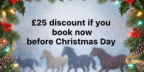 Understand Your Horse and The Harmony Retreat