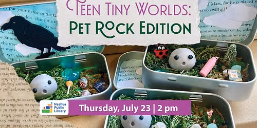 Teen: Tiny Worlds (Pet Rock Edition)