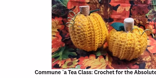 Crochet for the Absolute Beginner