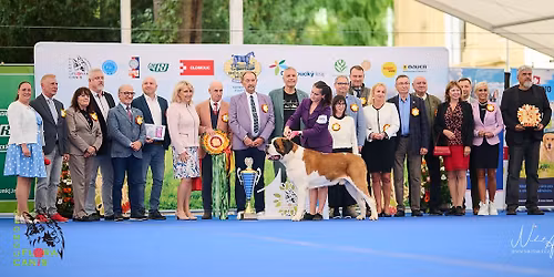 Mezin\u00e1rodn\u00ed v\u00fdstava ps\u016f Floracanis Olomouc