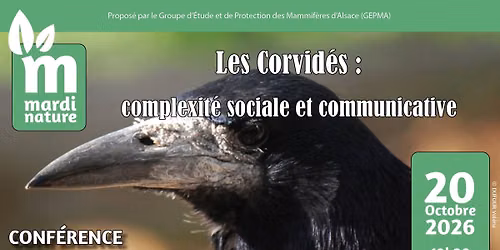 Conf\u00e9rence Mardi Nature : Les Corvid\u00e9s