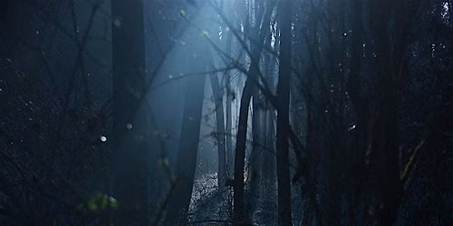 Haunted Hallows