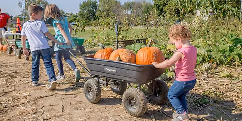 Pick Your Own Pumpkins