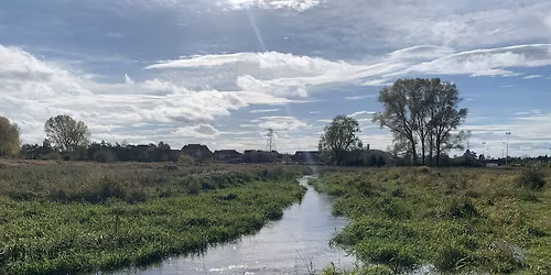 Doxey Marshes walk and information sharing: conservation coming this summer