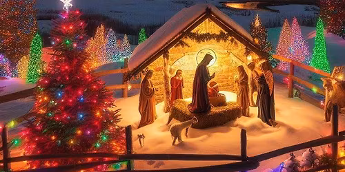 Christmas 2025 Light Show Launch