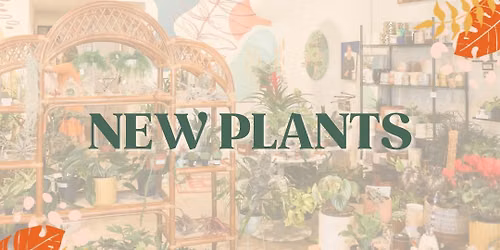 Plant Shipment - New Plants!!