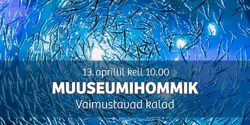 Koolivaheaja muuseumihommik "Vaimustavad kalad"