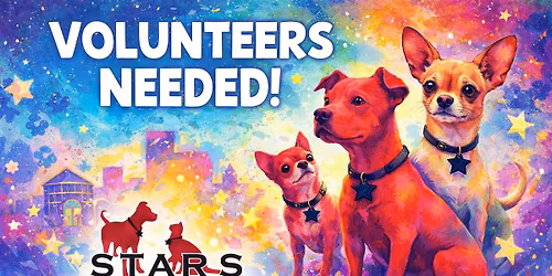 Now Accepting Volunteer Applications