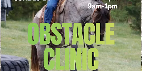 Obstcale Clinic - Tim Brock Horsemanship 