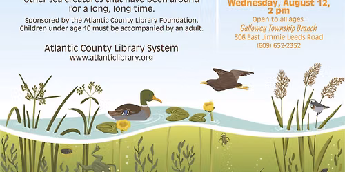 Wetlands Institute: Fossils and Creatures!