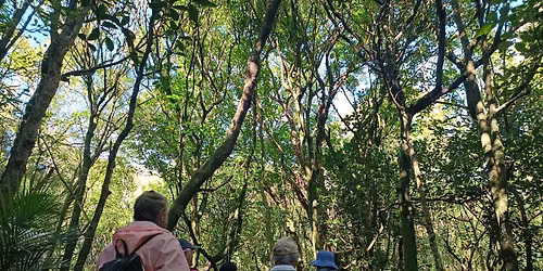 Ranger guided walk - Dingle Dell, St Heliers