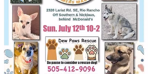 Dew Paws Rescue