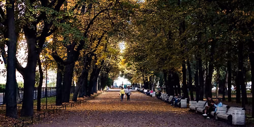 Composition in the Park