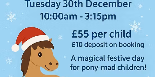 Post Christmas Own-A-Pony Day