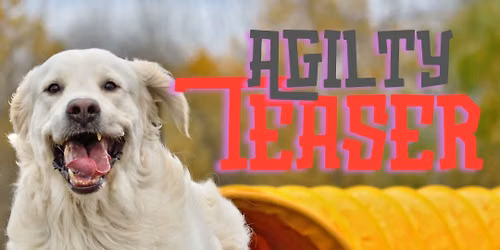 Agility Teaser 