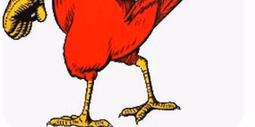13th Annual Dirty Bird Slo-Pitch Tournament
