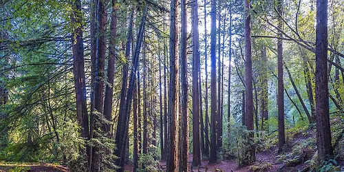 Hike and Meditation