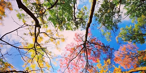 The Magic of the Seasons