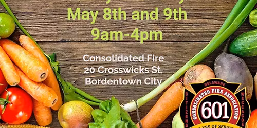Vegetable Plants, Bedding Flowers, & Herbs Sale