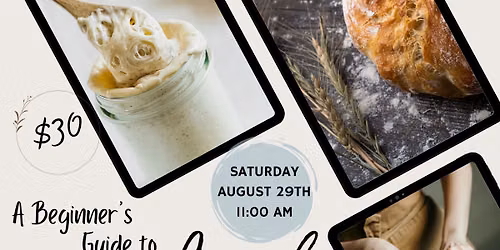 Sourdough Workshop