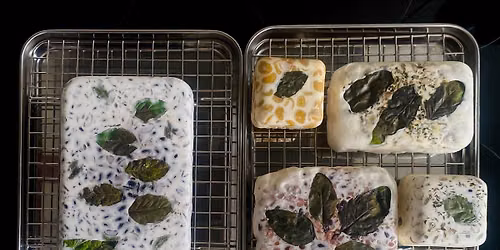 Fermenta Collective: Tempeh, from Home to Berlin