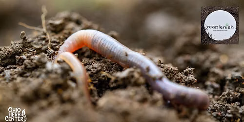 We've Got Worms- the power of worm poop!