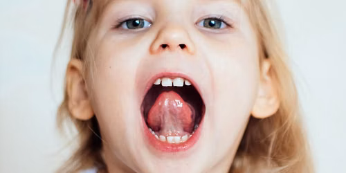 Miofunkcin\u0117s terapijos pagrindai logopedams, odontologams ir kineziterapeutams