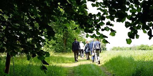 Wine & Walk 2026