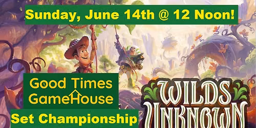 Lorcana Wilds Unknown Set Championship!