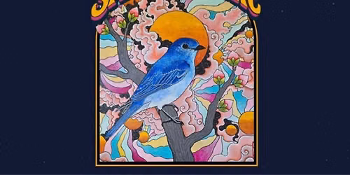 Save The Merc Benefit Show | Boulder Theater