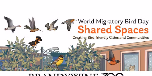 Migratory Bird Day