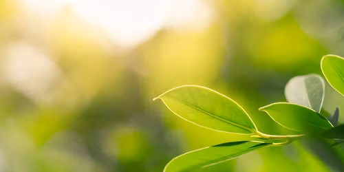 RETREAT | A Silent Weekend Meditation