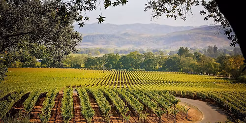 An Evening with Staglin Family Vineyard