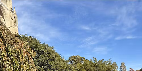 Nature Immersion Experience