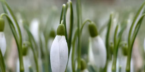 Eastwood Memory Cafe Meeting