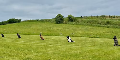 Przebiegi Treningowe 