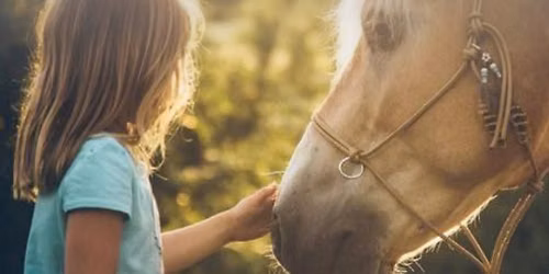 Summer Horse Camp