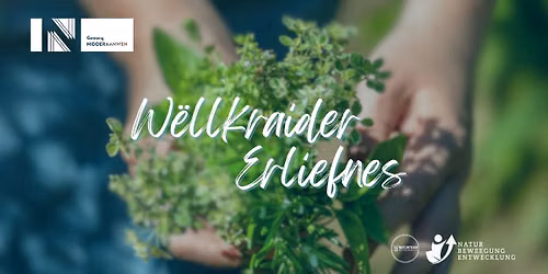 W\u00ebllkraider Erliefnes