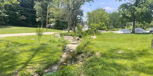 Williams Park Project