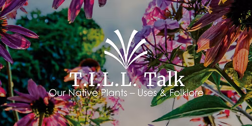 T.I.L.L. Talk: Our Native Plants \u2013 Uses and Folklore