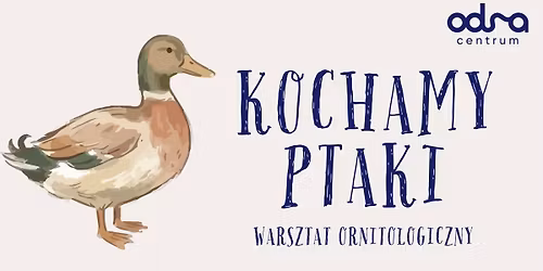 Kochamy Ptaki \u2013 bezp\u0142atne warsztaty ornitologiczne \ud83e\udd86